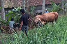 2 Pasukan Garda Nasional AS Ditembak di Dekat Gedung Putih, Pelaku Ditangkap