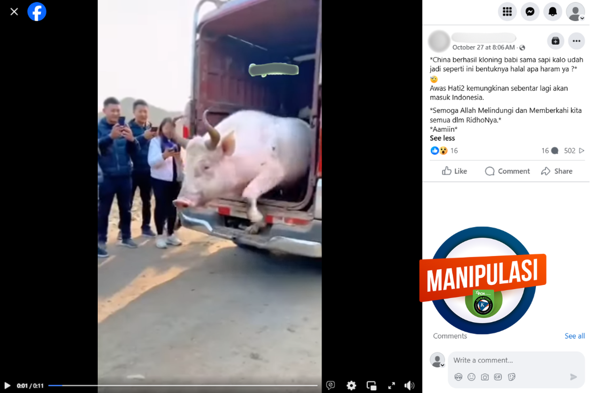 Tangkapan layar konten manipultif di sebuah akun Facebook, Minggu (27/10/2024), menampilkan video kloning babi dan sapi di China.