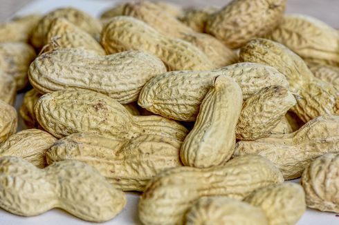 Apakah Penderita Asam Urat Boleh Makan Kacang?