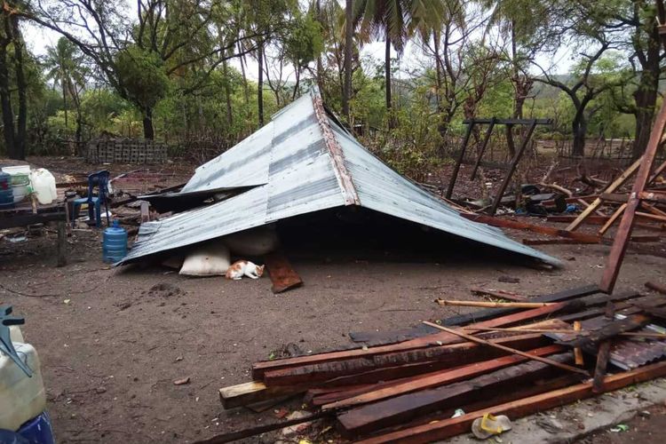 Rumah Warga di Desa Satar Kampas dan Satar Padut, Kecamatan Lambaleda, Manggarai Timur, Jumat-Sabtu, (3-4/1/2020) ambruk diterjang angin puting beliung. (KOMPAS.com/MARKUS MAKUR)