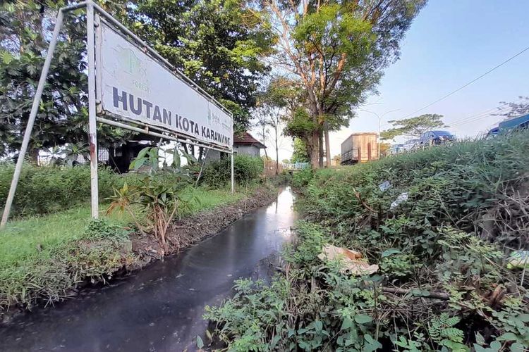 Limbah hitam berbau mencemari Hutan Kota Karawang di Jalan Lingkar Luar Karawang, Rabu (11/6/2025).