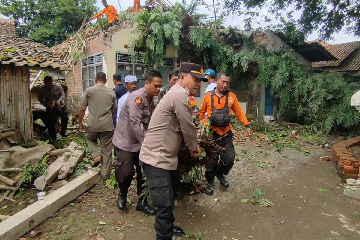 Kapolsek Depok AKP Affandi, bersama Kolap BPBD Kabupaten Cirebon Faozan, dan unsur terkait gotong royong membantu evakuasi pohon tumbang di Desa Pesanggrahan Kecamatan Plumbon Cirebon Kamis siang (18/1/2024). Sepasang suami istri mengalami luka saat berusaha melindungi anakny dari reruntuhan atap pada saat kejadian Kamis dini hari 01.00 WIB