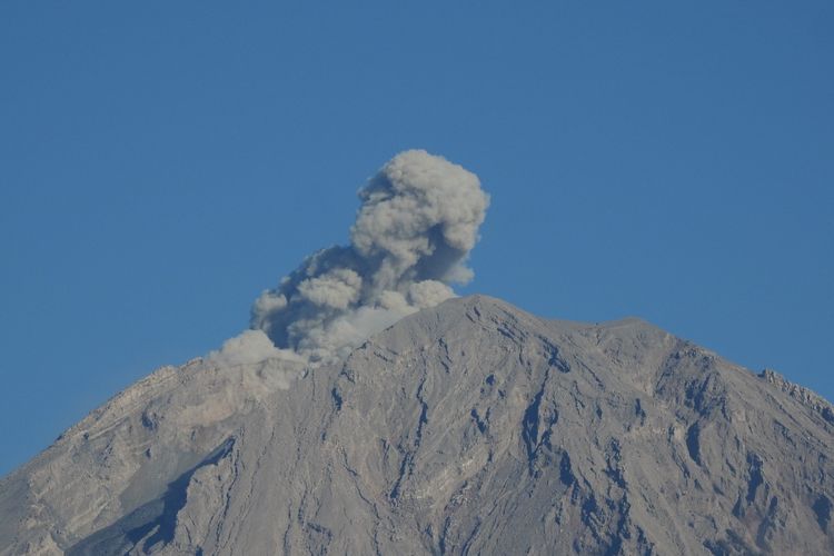 Letusan asap abu Gunung Semeru setinggi 600 meter, Senin (23/1/2023)