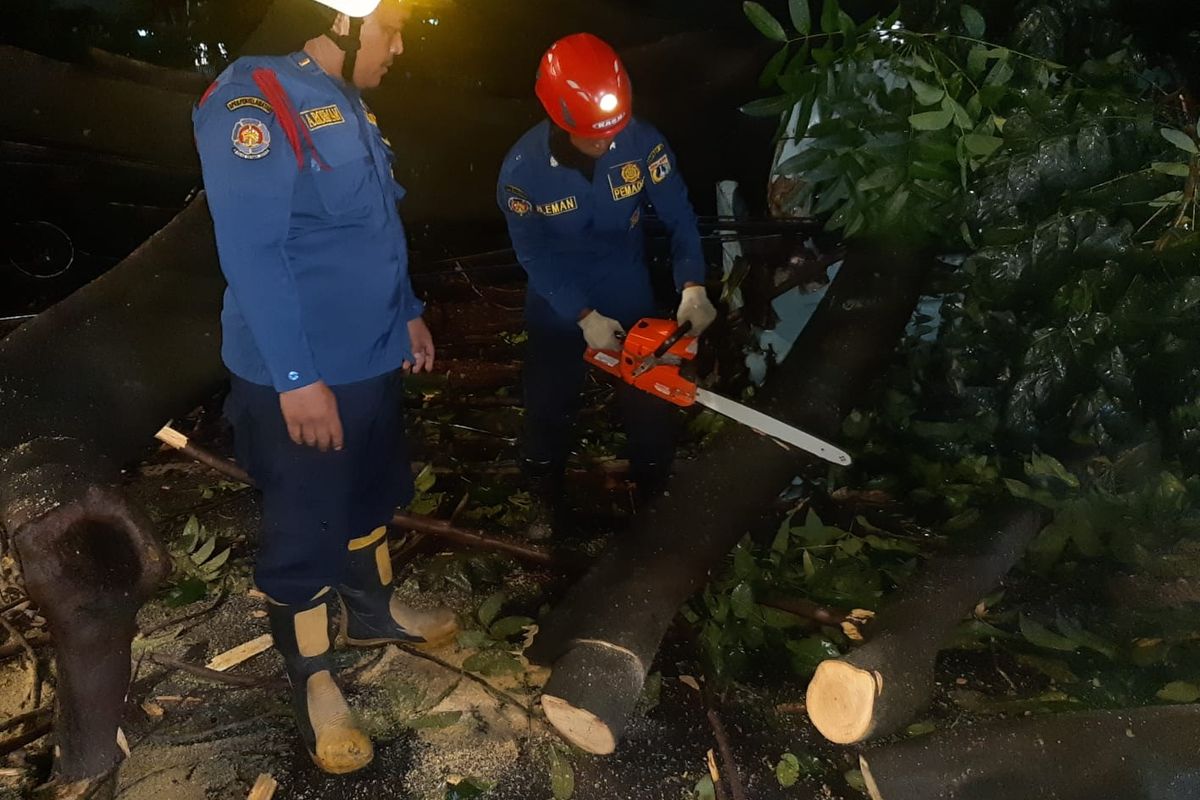 Pohon angsana yang tumbang di Jalan Raya Bogor, Kelurahan Pekayon, Kecamatan Pasar Rebo, Jakarta Timur, menimpa satu angkutan perkotaan (angkot), Selasa (16/8/2022) sore.
