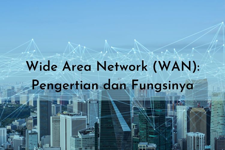 Wide Area Network adalah kumpulan dari beberapa LAN (Local Area Network) yang terhubung . Salah satu fungsi WAN adalah mempercepat transmisi data dan informasi. 