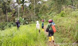 Kemunculan Beruang di Talamau Resahkan Warga, BKSDA Sumbar Turun Tangan