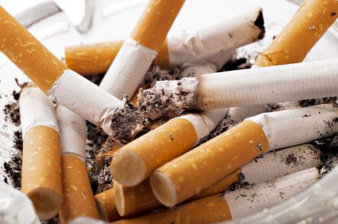 Tak Hanya Kesehatan, Puntung Rokok Juga Merusak Lingkungan