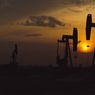 Diambil Alih Pertamina dari Chevron, Ini Sejarah Panjang 97 Tahun Blok Rokan