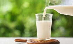 Populasi Sapi Perah Sedikit, 80 Persen Susu Segar di RI Masih Impor