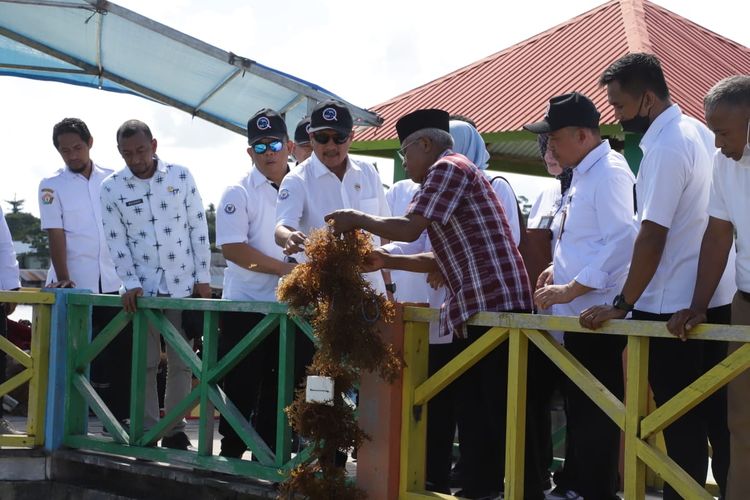 Acara soft launching Kampung Budidaya Rumput Laut di Desa Liya Bahari, Kecamatan Wangi Wangi Selatan, Kabupaten Wakatobi, Sultra, Rabu (8/6/2022).
