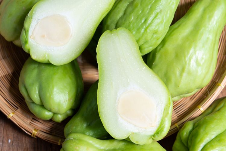 Ilustrasi labu siam.