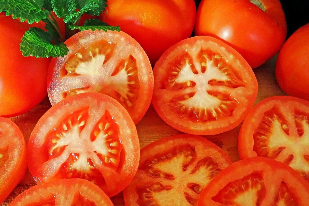 Ilustrasi buah tomat, irisan buah tomat. 