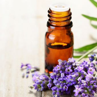 Ilustrasi minyak esensial lavender