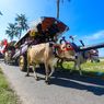 Mau Lihat Bajingan, Kunjungi Festival Pegon Waton di Jember 28 Maret 2026