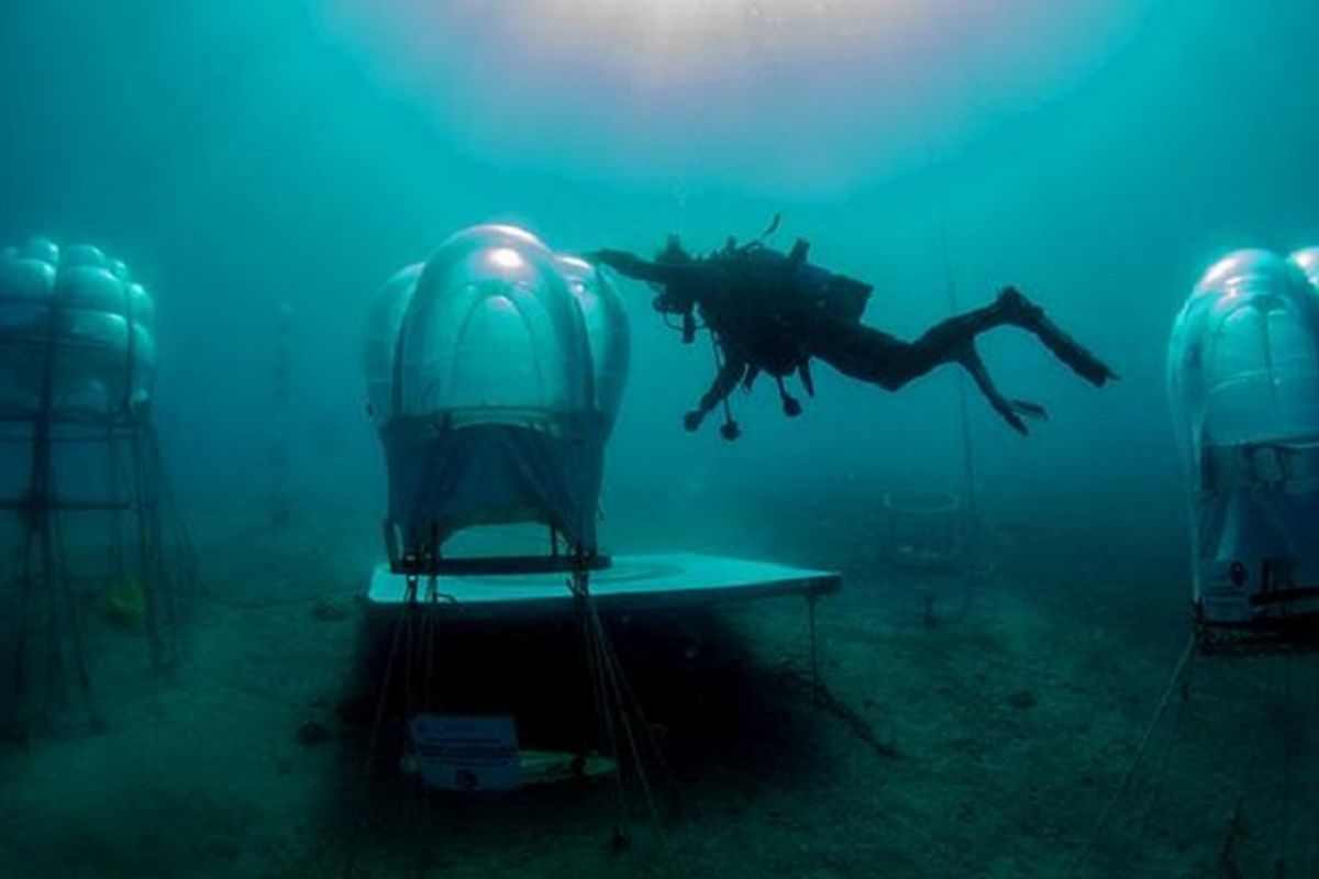 Kebun dasar laut di utara Italia