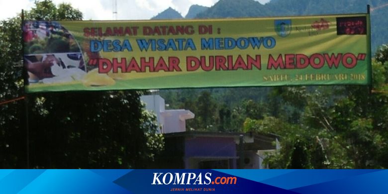 Desa Medowo Di Kediri Sediakan 2 000 Durian Gratis Bagi Pengunjung