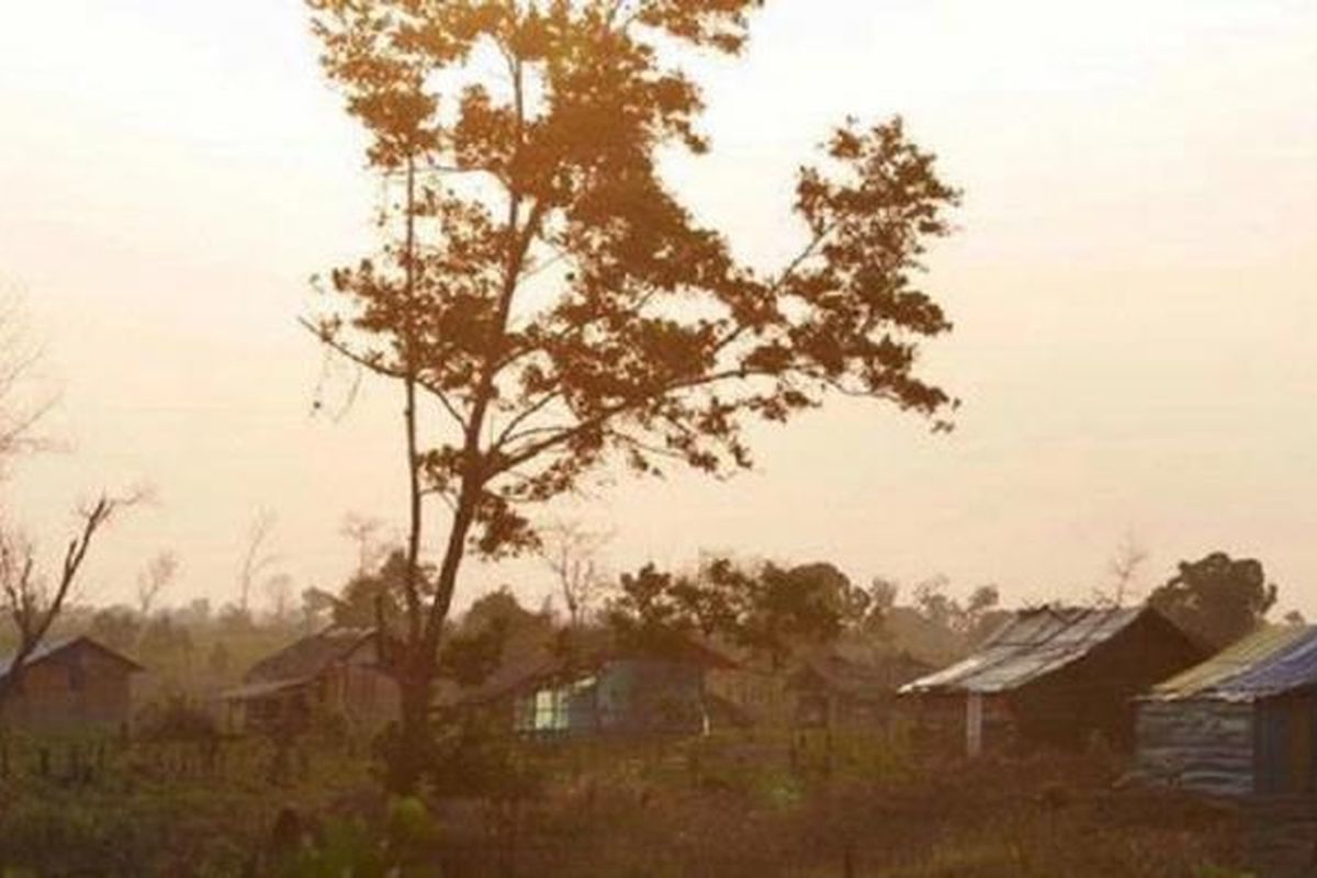 Deretan rumah yang dibangun warga di atas tanah sengketa di Mesuji, Lampung, Kamis (2/8/2012). Konflik tanah dan tambang yang akhir-akhir ini merebak diduga salah satunya karena masyarakat tidak dilibatkan dalam mengolah tanah atau tambang untuk kesejahteraan warga.

