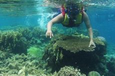 Asyiknya Snorkeling di Kepulauan Seribu