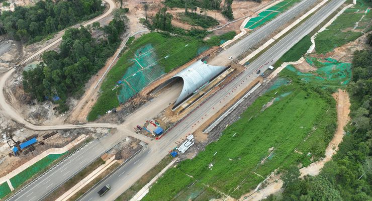 Beruang Madu Bisa Lintasi Terowongan Tol Akses IKN Seksi Kariangau-Sp Tempadung