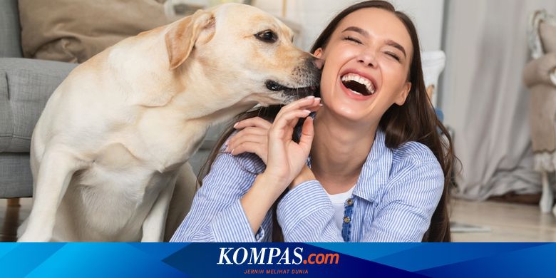 Bolep Anjing Sama Manusia - Bisakah Anjing Merasakan Emosi Manusia? Ini Penjelasannya Halaman all -  Kompas.com