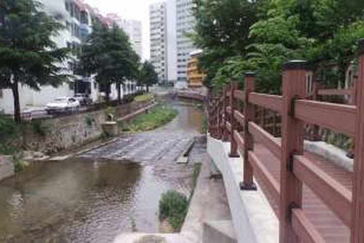 Aliran sungai di Busan dengan air yang relatif jernih. 