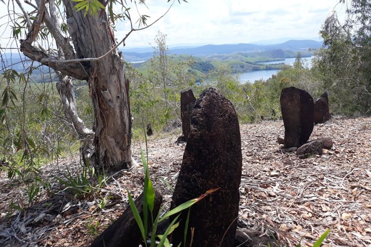 Pengertian Menhir dan Fungsinya