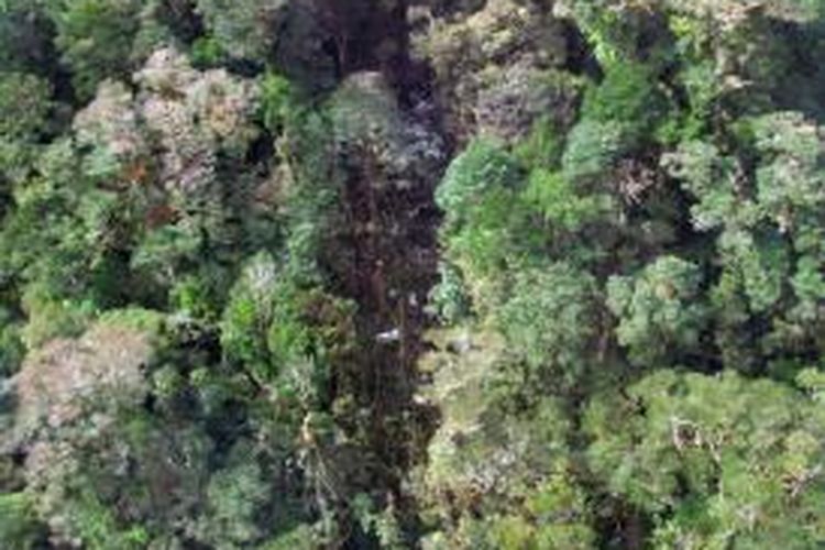 Foto yang direkam oleh Basarnas pada Senin (17/8/2015) memperlihatkan jejak kecelakaan pesawat Trigana Air ATR 42-300 di kawasan Oksibil, Papua, sehari setelah dinyatakan hilang usai lepas landas dari Jayapura. Pesawat tersebut membawa 54 orang termasuk awak pesawat dalam penerbangannya menuju Bandara Oksibil, Kabupaten Pegunungan Bintang. 