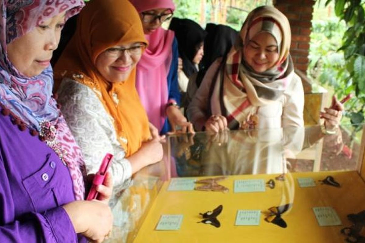 ILUSTRASI - Pengunjung melihat-lihat koleksi kupu di obyek wisata Taman Kupu-kupu di Kampung Kopi Banaran di Jalan Utama Bawen-Tuntang, Kabupaten Semarang, Jawa Tengah.