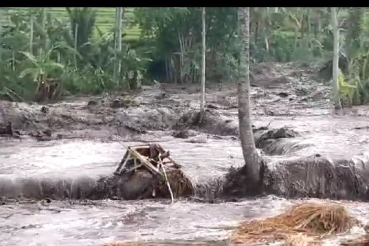 Kondisi banjir bandang di Sungai Kalijompo Kabupaten Jember yang teradi sore hari 