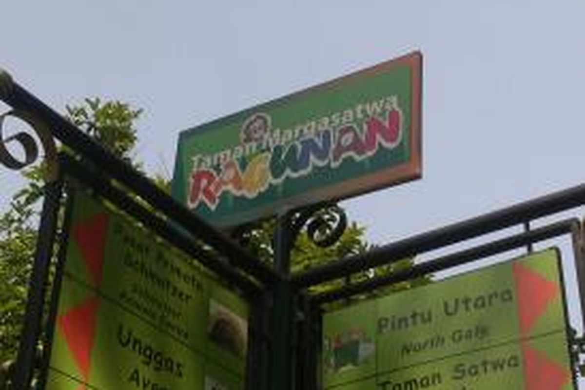 Ragunan merupakan salah satu alternatif rekreasi warga yang paling murah dengan tarif dewasa Rp 4.500 dan anak-anak Rp 3.500. Dalam perkembangannya, rencananya akan dilakukan revitalisasi kembali, dikatakan oleh Ketua Dewan Pengawas Taman Margasatwa Ragunan di Balai kota, Jakarta, Jumat (23/8/2013).