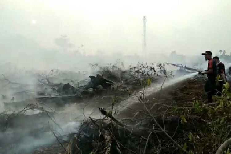 Kebakaran hutan dan lahan terjadi di Pekanbaru, Riau, Senin (9/9/2019).