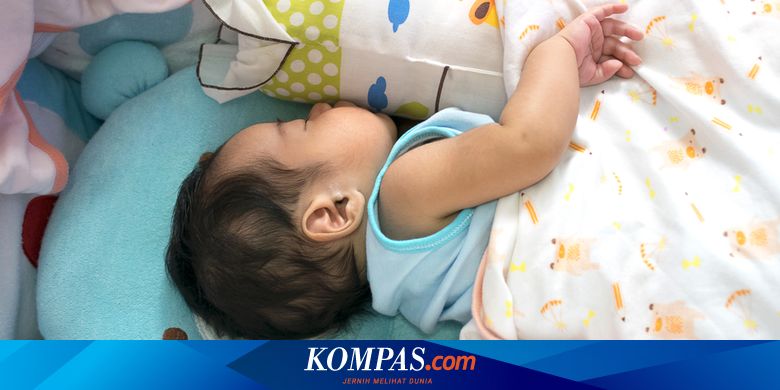  Kenapa  Anak  Kecil  dan Hewan Tidur Lebih Lama Ahli Temukan 