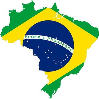 Gambar bendera Brasil yang tercabik, simbol negara sedang diguncang para penggerogot uang rakyat, yang membuat kehidupan rakyat menderita. Gambar ini adalah peta teritorial darat Brasill.