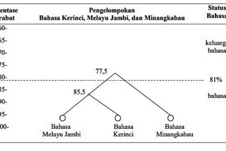 Garis silsilah kekerabatan bahasa Kerinci, Jambi, dan Minangkabau