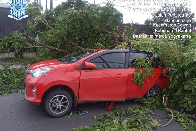 Mobil tertimpa pohon di Jalan Parangtritis, Bantul. Senin (26/12/2022)