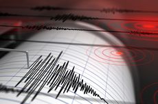 Gempa M 5,0 Guncang Kabupaten Badung, Tidak Berpotensi Tsunami