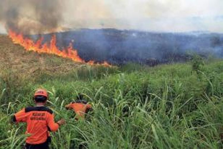 Petugas berupaya memadamkan kebakaran hutan di Ogan Ilir, Sumatera Selatan, 5 September 2015. Kebakaran hutan disebabkan oleh pembersihan lahan secara ilegal di Sumatera dan kalimantan.