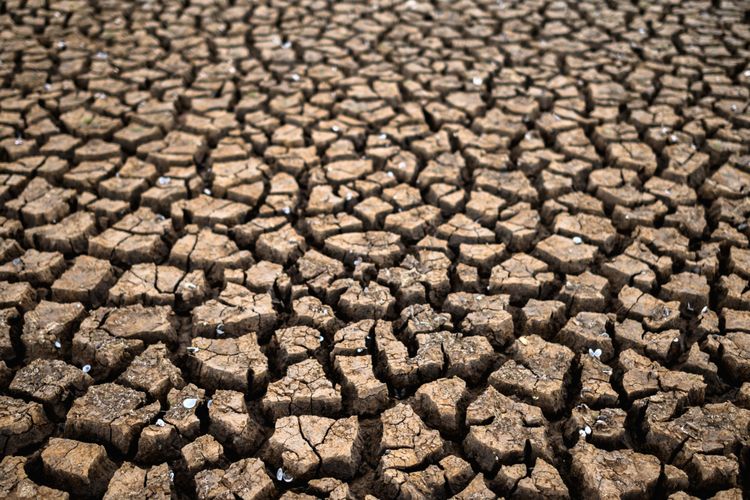 Ilustrasi kekeringan. Kekeringan meteorologis