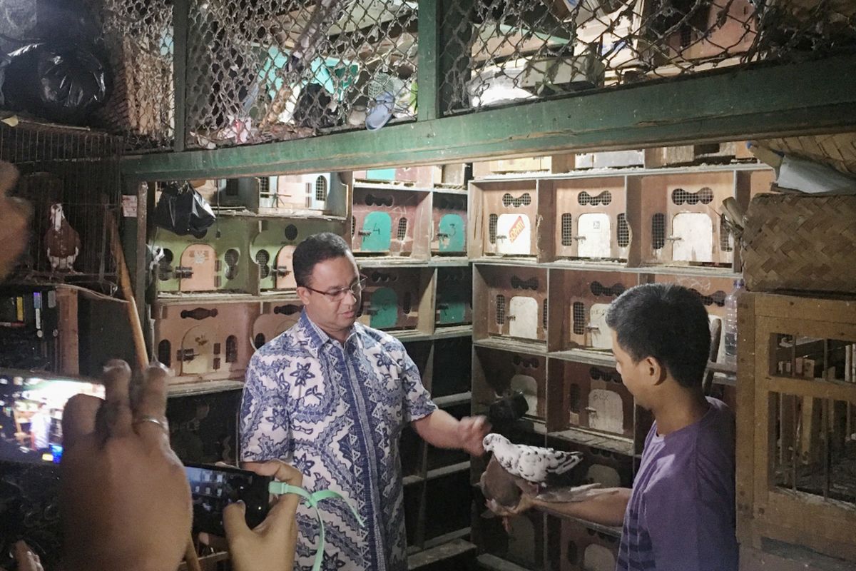 Anies Baswedan berkunjung ke pasar pramuka Jakarta untuk membeli burung dara, Jakarta, Selasa (2/5/2017).