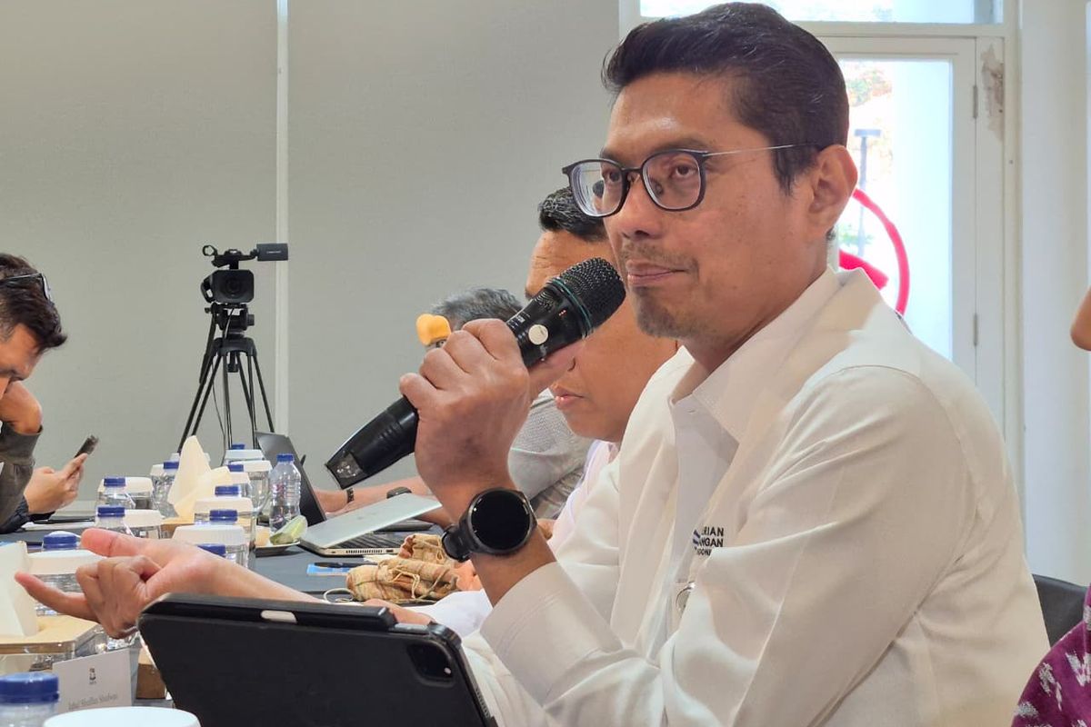 Mayoritas Pedagang E-commerce Belum Punya NIB, Ini Alasannya