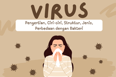 Virus: Pengertian, Ciri-ciri, Struktur, Jenis, Perbedaan dengan Bakteri