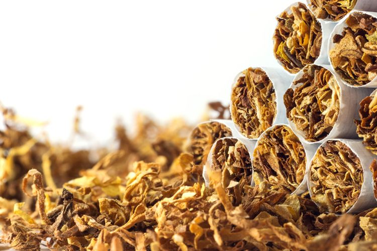 CISDI Sebut Kenaikan Cukai RI Tak Bikin Rokok Mahal