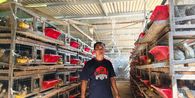Dari 1.000 Menjadi 11.000 Ekor, Perjuangan Suprianto Membangun Kembali Peternakan Puyuh