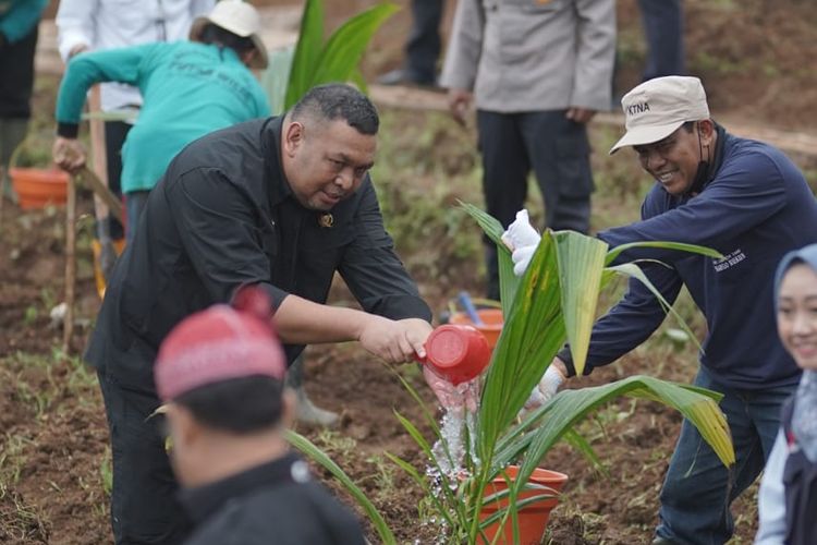 Direktur Perkebunan (Dirjenbun) Andi Nur Alam Syah saat melakukan penanaman kelapa genjah di Kabupaten Kediri, Jawa Timur (Jatim), Kamis (9/2/2023).
