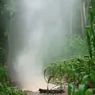 Viral Video Air Menyembur dari Dalam Tanah, Ketua RT di Gunungkidul: Tingginya Sekitar 5-6 Meter