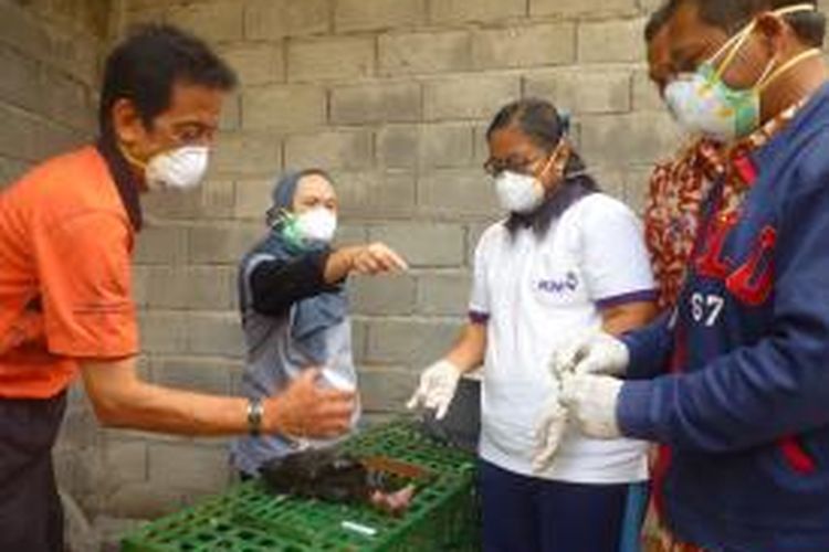 Petugas veteriner Dinas Peternakan dan Perikanan  (Disnakan) Kabupaten Semarang, melakukan pengujian cepat atau rapid test terhadap tiga bangkai ayam di kandang ayam milik Basari, Jumat (20/11/2015) siang.