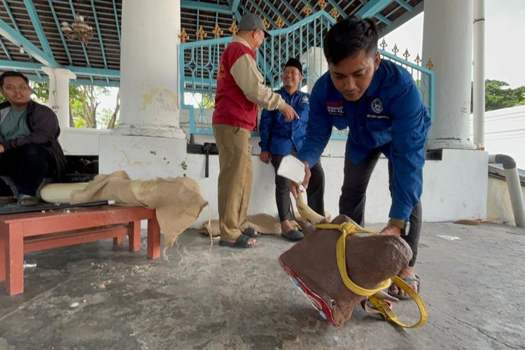 Jangan Asal Sembelih, Ini Kriteria Hewan dan Tata Cara Kurban Sesuai Syariat serta Aturan Negara