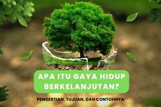 Apa itu Gaya Hidup Berkelanjutan? Pengertian, Tujuan, dan Contohnya