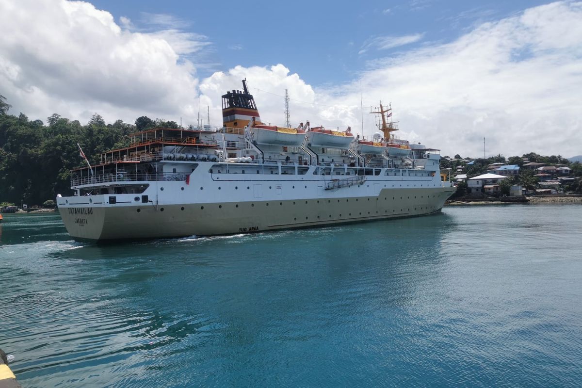 Armada Kapal Pelni yang disediakan untuk pelayanan Mudik Masyarakat Indonesia Timur