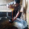 Manisnya Gula Aren di Kaki Gede-Pangrango, yang Lahir dari Tradisi Memahami Karakter Pohon